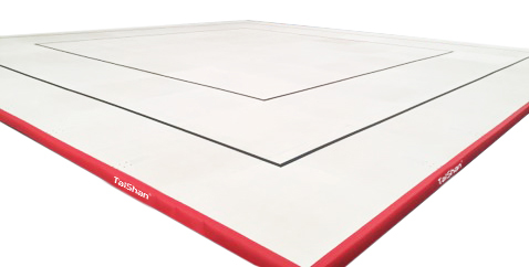 健美操场地(图1)