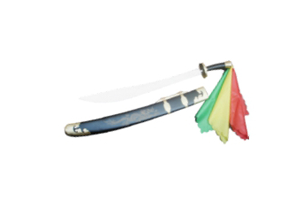 规定武术刀(图1)