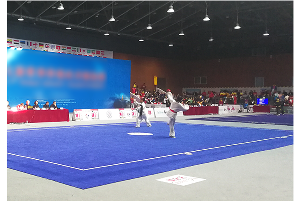 青少年武术场地二(图1)