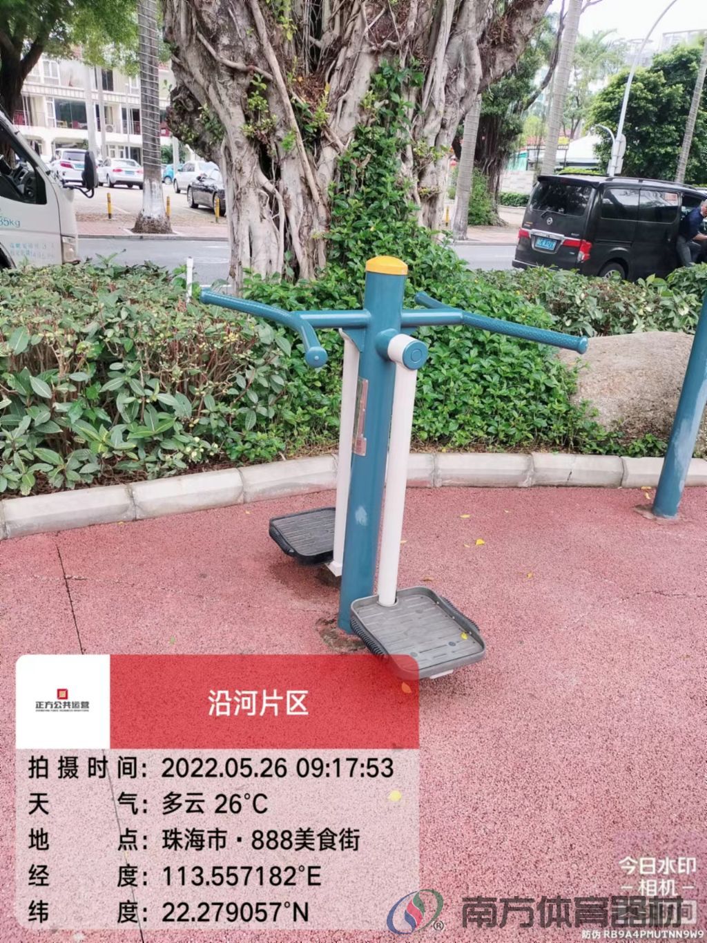 凤凰河社区公园银桦段(图18) 凤凰河社区公园银桦段(图18)