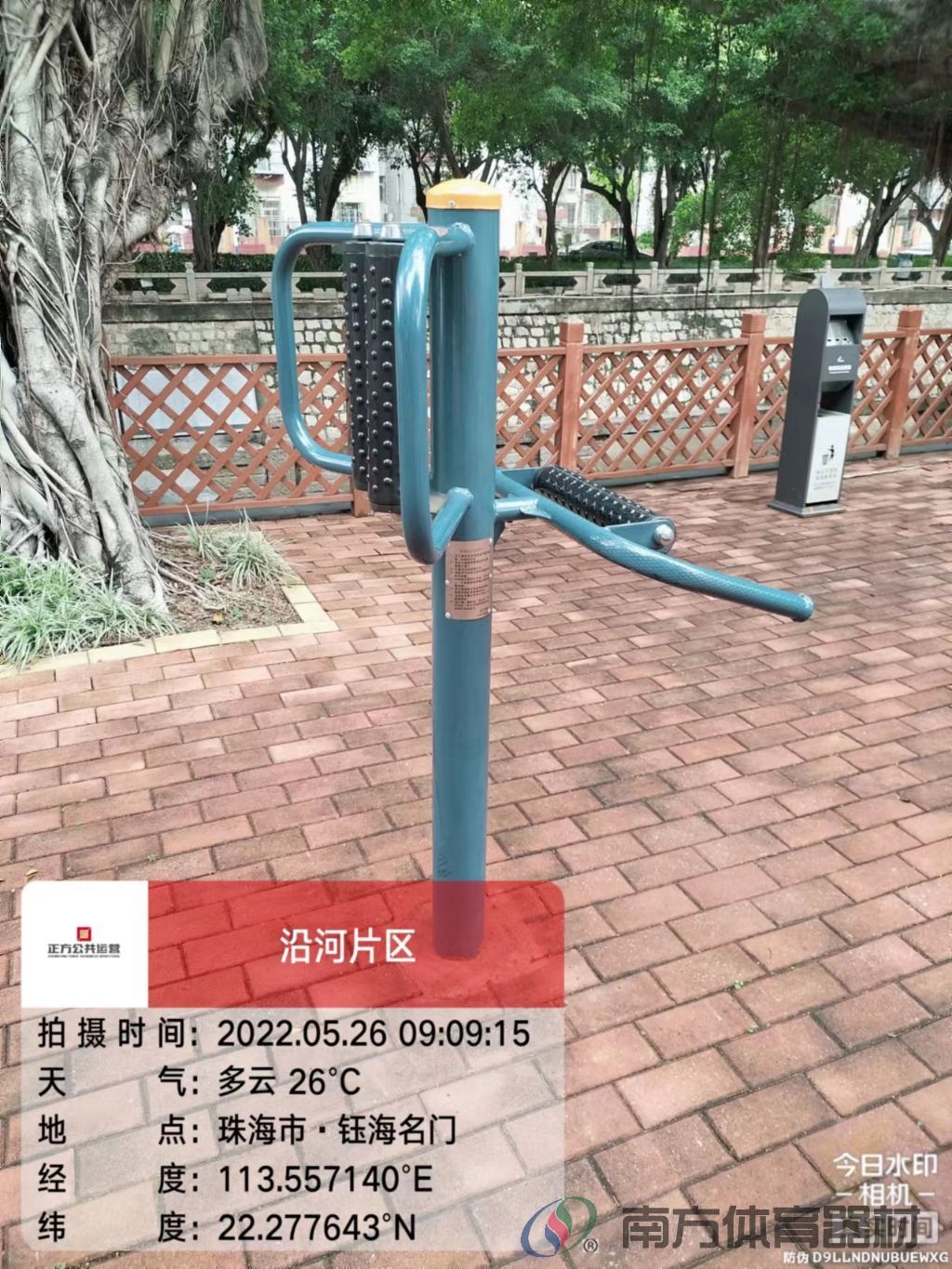 凤凰河社区公园银桦段(图22) 凤凰河社区公园银桦段(图22)